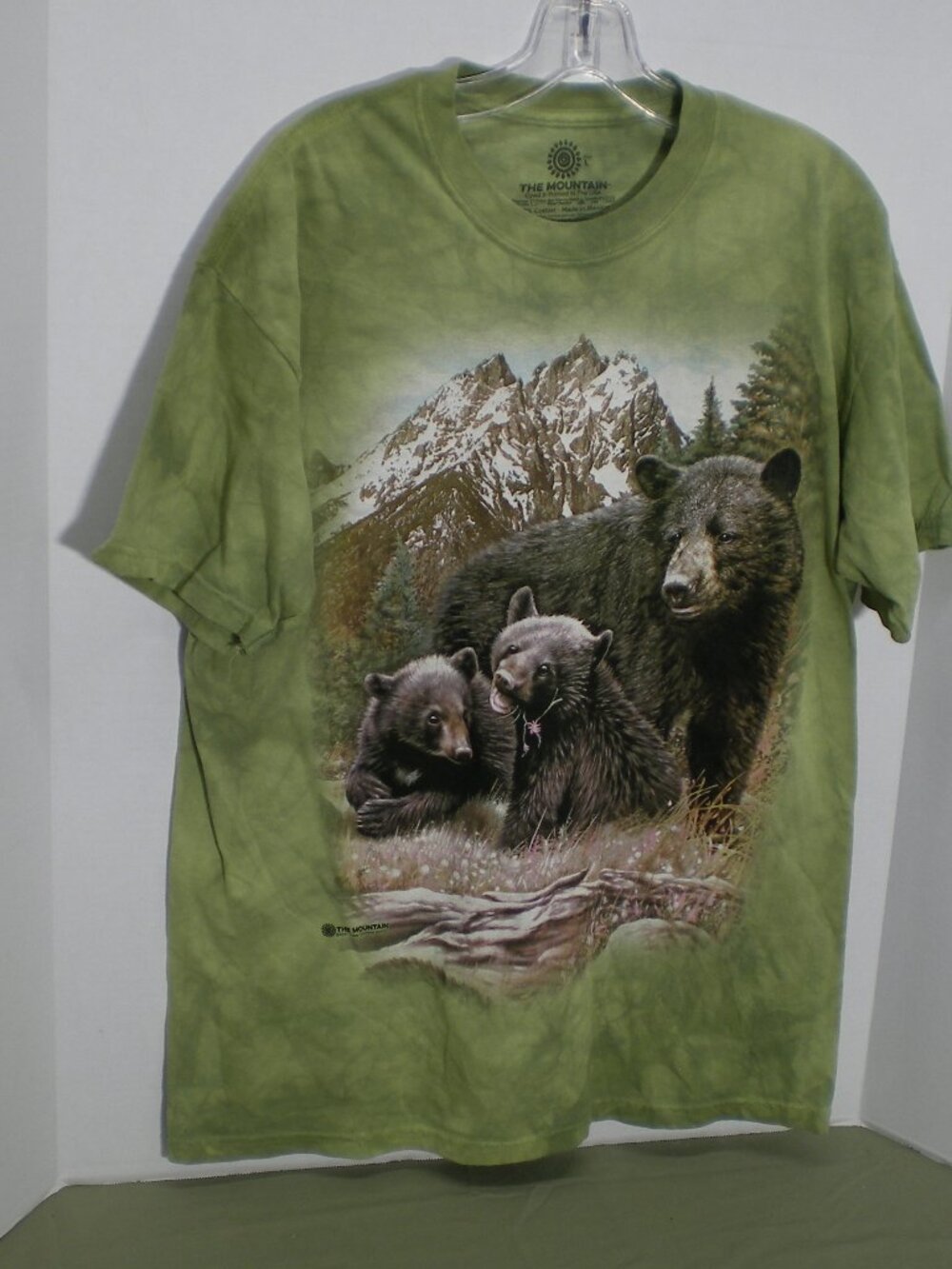 The Mountain, Black Bear Family Tee Shirt, Green, Size Large
